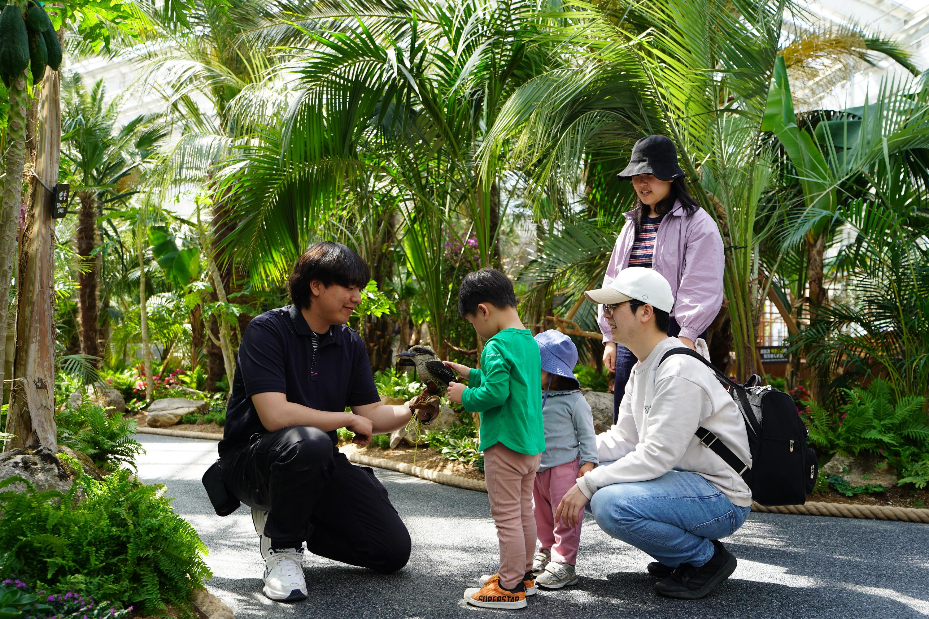 Nami + Gangchon Railbike + Gapyeong Begonia Bird Park One Day Tour - Photo 1 of 10